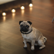 LoftFactory-Luxury-Rental-Parisian-Loft-Charming-Interior