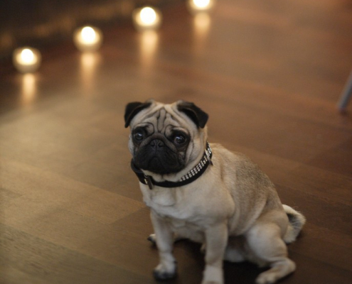 LoftFactory-Luxury-Rental-Parisian-Loft-Charming-Interior